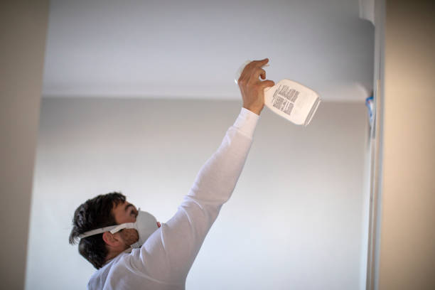 Best Certified Mold Removal  in Northampton, PA