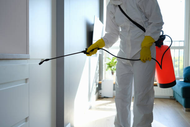 Best Commercial Mold Removal  in Northampton, PA